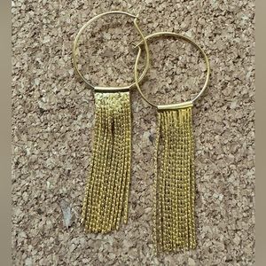 Hoop and Chain Earrings